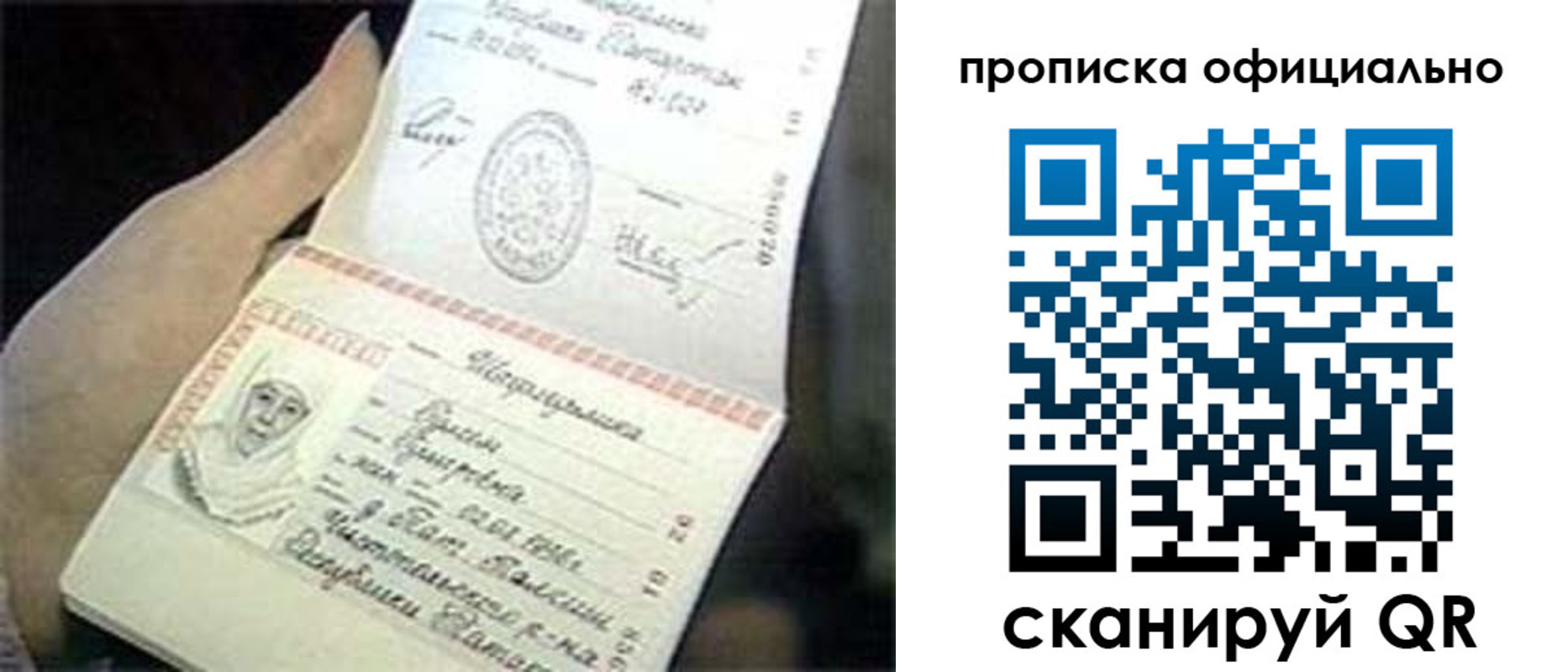 прописка поиск в Щёкино